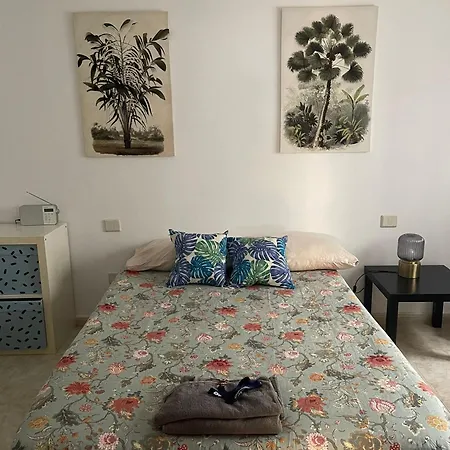 Apartamento Oasis Las Palmas de Gran Canaria