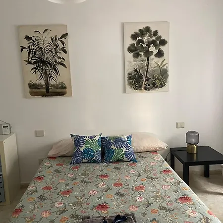 Albareda Las Palmas de Gran Canaria