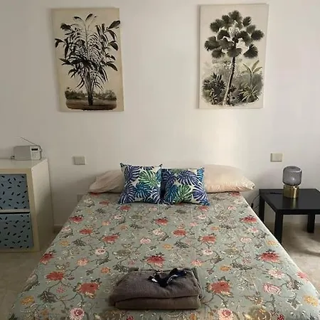 Albareda * Las Palmas de Gran Canaria